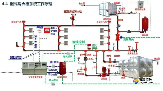 1773032484647523.png image.png