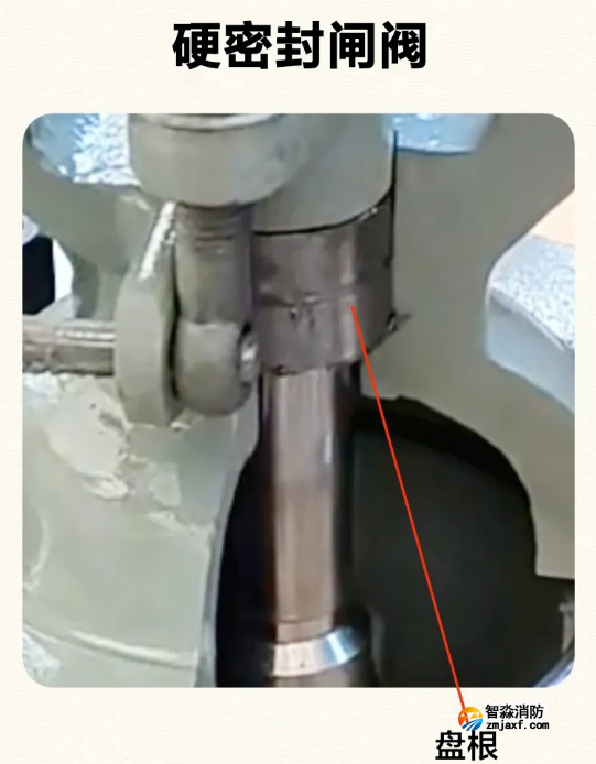 1773638420132094.png image.png